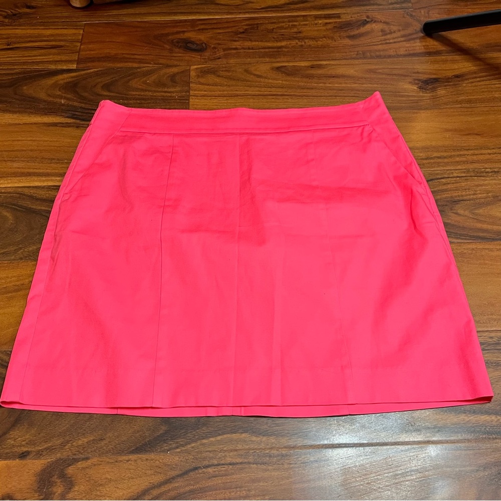 Ann Taylor Madison Pink Mini Skirt
